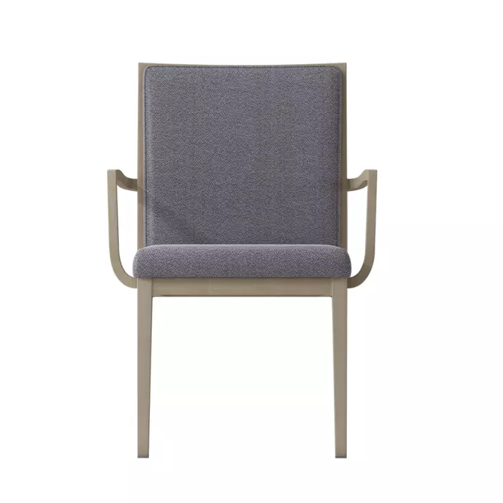 CHATTI Arm Chair CFS5607