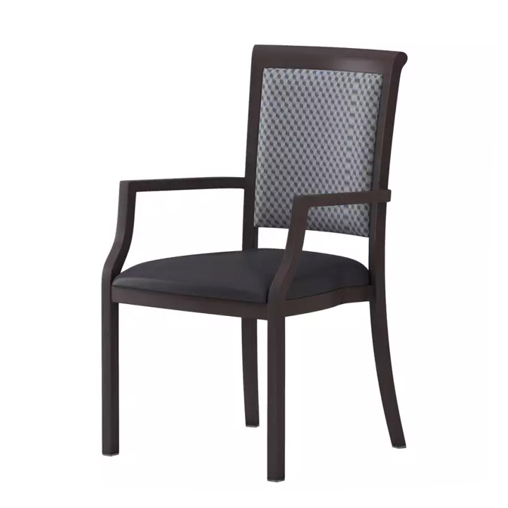 ECURIES Arm Chair CFS5505