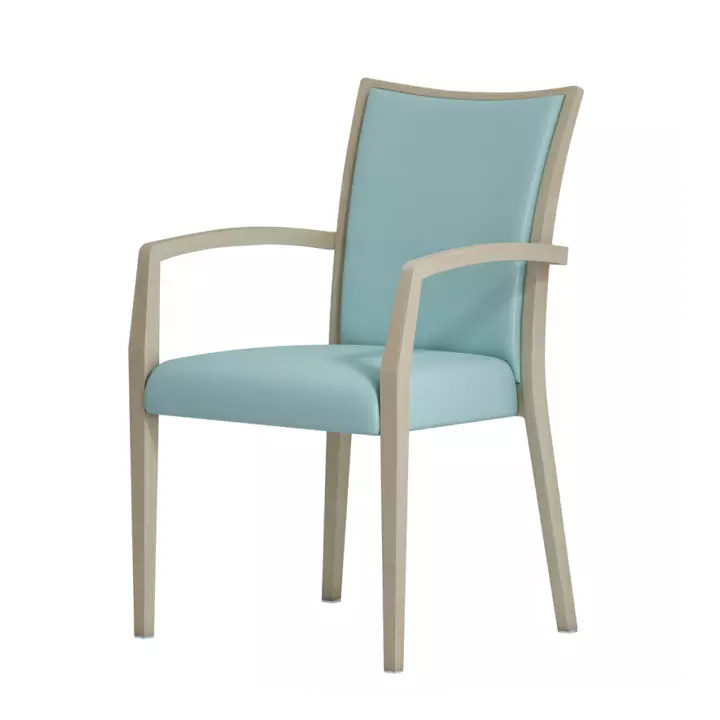 SALLE Arm Chair CFS5634
