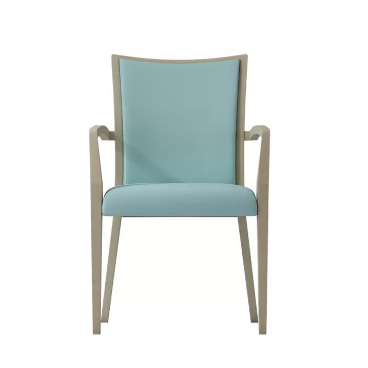 SALLE Arm Chair CFS5634