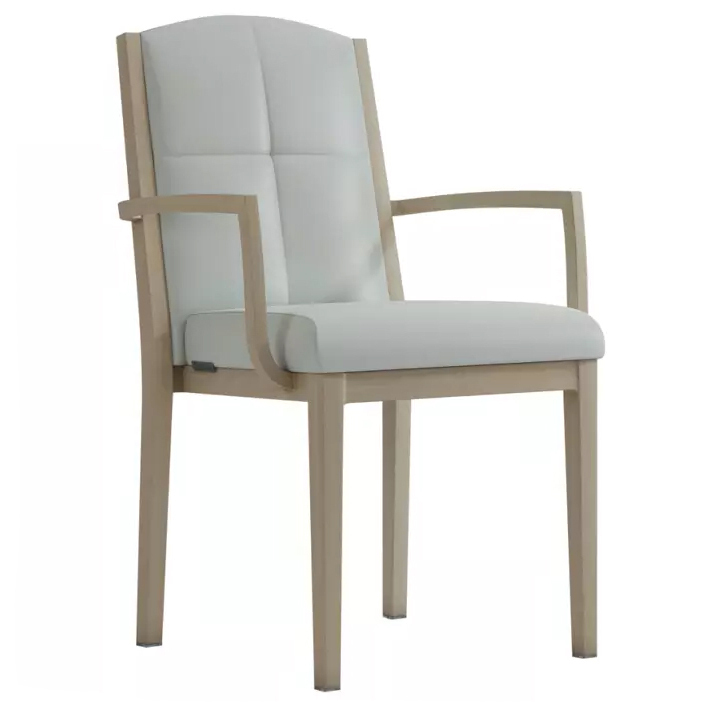 VIEJA Arm Chair CFS5654