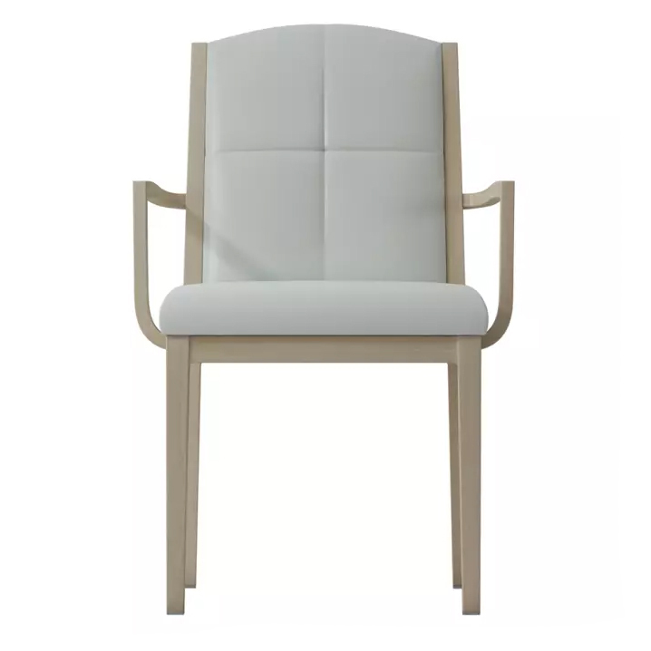 VIEJA Arm Chair CFS5654