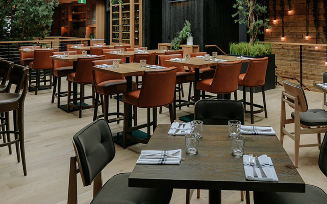 Explore Common Metal Chairs for Restaurants