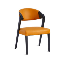 Argon Arm Chair