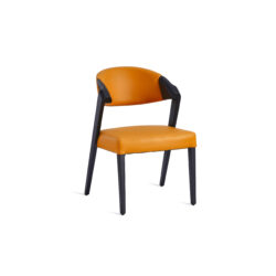 Argon Side Chair