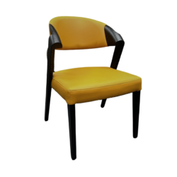 Argon Arm Chair