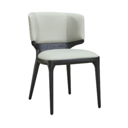 Express Dining Chair