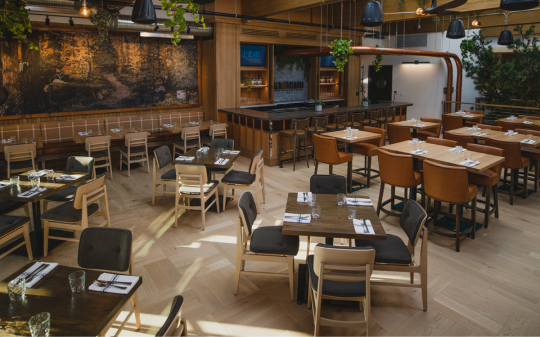 Restaurant Chairs Winnipeg: Top Places to Buy Restaurant Chairs in Winnipeg